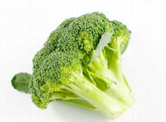 IQF Broccoli Florets