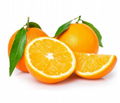 Fresh Navel Orange