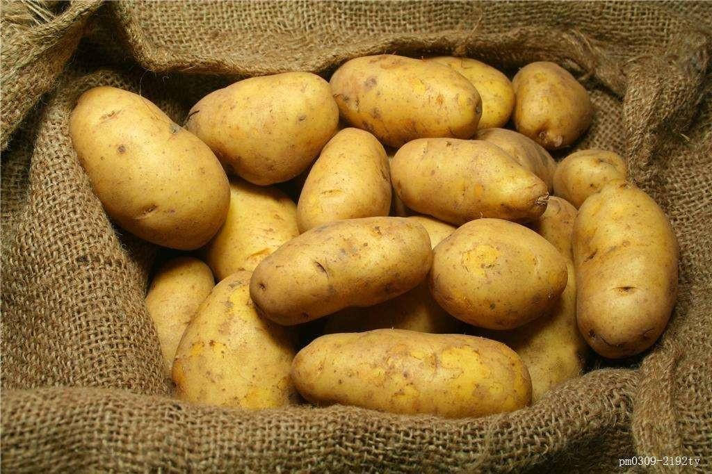 Organic New Harvest Fresh Potato 2