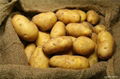 Organic New Harvest Fresh Potato