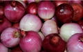 Wholesale Fresh Onion