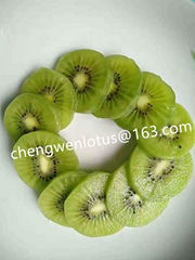 Fresh kiwi fruit