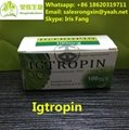 HongKong RongXin 100iu Igtropin  HGH purity 99.8% 2