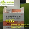 HongKong RongXin 100iu Igtropin  HGH purity 99.8% 3