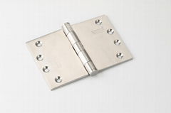 Stainless Steel Plain Joint Hinge