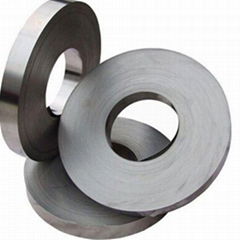 Stainless Steel Strips