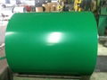 Prepainted Galvanized steel coil