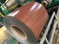 Prepainted Galvanized steel coil 3