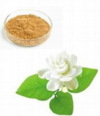 Top quality Free samples Jasmine Flower Extract 