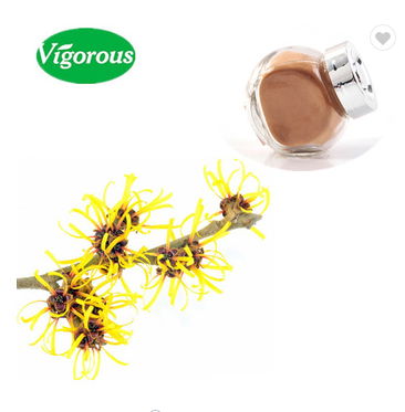 Pure natural food grade Hamamelis Extract 