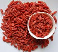 High Quality Low Pesticide Goji Berry 180 3