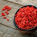 Ningxia manufacture common sweet goji berry/wolfberry