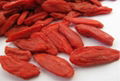 Health food dried organic berry goji