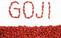 Health food dried organic berry goji  3