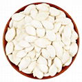 Chinese high quality snow white pumpkin seeds 1