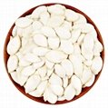Chinese high quality snow white pumpkin seeds