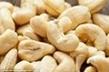 Vietnam cashew nut kernel manufacturer