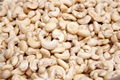 cashew nut ww320 WW240