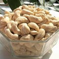 cashew nut ww320 WW240