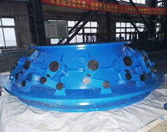 Distributor of Hydroturbine