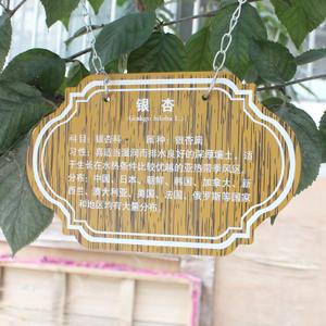 树铭牌标牌标识专业设计定制德艺 2