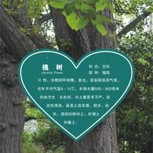 树铭牌标牌标识专业设计定制德艺 5