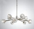K9 glass chandelier