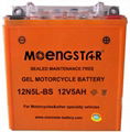 12n5l-BS Maintenance-Free Super Gel Motorcycle Battery 1