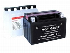Ytx9-BS Ms Rechargeable Maintenance-Free Sealed Motorcycle Battery