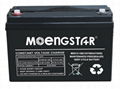 Msd-Hse-100-12 High Quality AGM Deep Cycle Maintenance-Free Motorcycle Battery 1