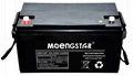 Msd-Hse-65-12 High Quality AGM Deep Cycle Motorcycle Battery 1