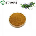 Rosemary extract Rosmarinic acid 5%