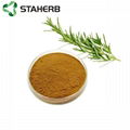 Rosemary extract Rosmarinic acid 5% 2