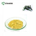 Ursolic acid 25% Rosemary Extract 98% Ursolic acid 