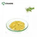 Ursolic acid 25% Rosemary Extract 98% Ursolic acid  2