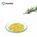 Ursolic acid 25% Rosemary Extract 98% Ursolic acid  4