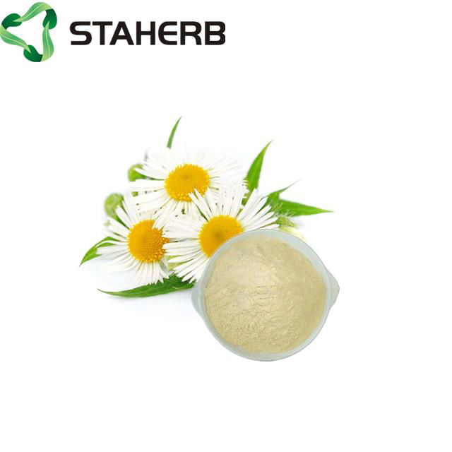 chamomile extract apigenin 98%