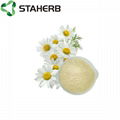 洋甘菊提取物芹菜素chamomile extract apigenin 98% 2