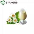 洋甘菊提取物芹菜素chamomile extract apigenin 98% 4