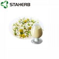 洋甘菊提取物芹菜素chamomile extract apigenin 98% 8