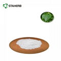 杜仲提取物綠原酸98%Eucommin leaf extract chlorogenic acid 98%