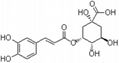 Eucommin leaf extract chlorogenic acid 98% 4