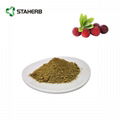 bayberry bark extract myricetin 98% 3