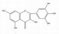 楊梅素98%bayberry bark extract myricetin 98% 4