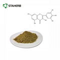 杨梅素98%bayberry bark extract myricetin 98% 5