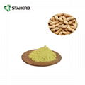 木犀草素Peanut shell extract Luteolin 4