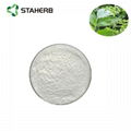 vine tea extract dihydromyricetin 1