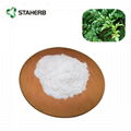 vine tea extract dihydromyricetin