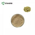 绿咖啡豆绿原酸green coffee bean extract chlorogenic acid