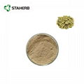 green coffee bean extract chlorogenic acid